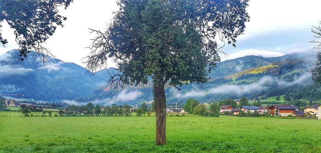 ザンクト・ヨーハン・イム・ポンガウ Urlaub Am Bauernhof Rothofヴィラ エクステリア 写真