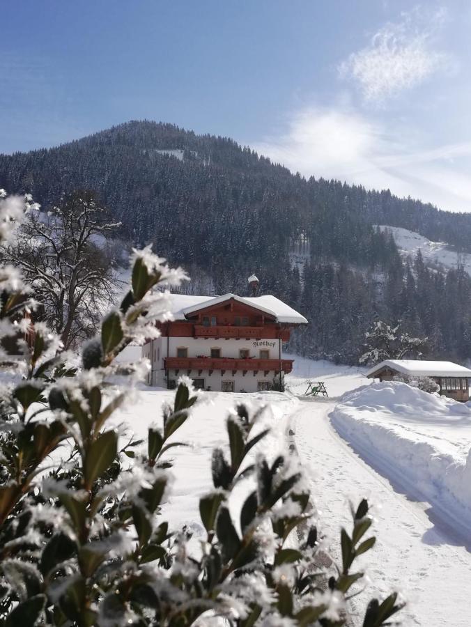 ザンクト・ヨーハン・イム・ポンガウ Urlaub Am Bauernhof Rothofヴィラ エクステリア 写真